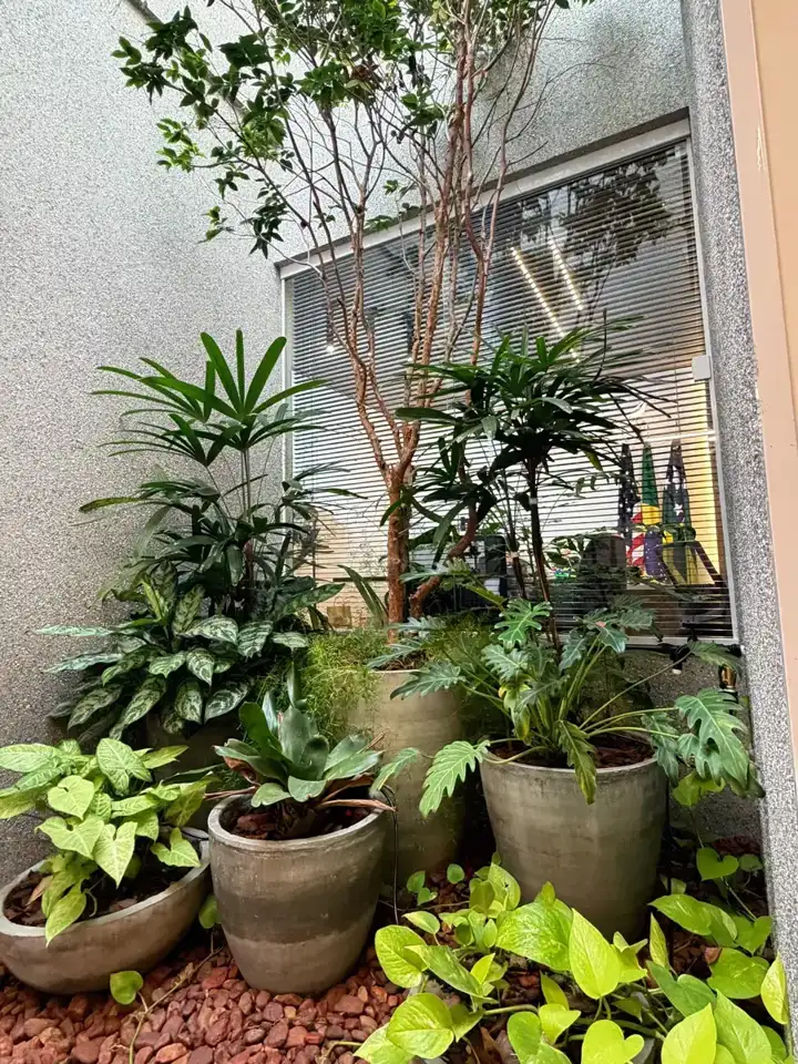 Jardim interno da sede do escritório